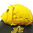 대전 신흥초등학교 이윤호선수 투수오더글러브 이미지