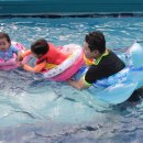 씨엘블루펜션 이미지