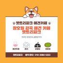 펫트리파크 이미지
