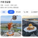 카페세화숲 | [제주 3박4일] DAY1 : 해녀촌 회국수 / 카페 청굴물 / 청파식당횟집 / 세화총총 등