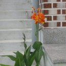 부운농장 이미지