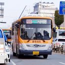 광천버스터미널앞 이미지