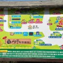 천남리 | 강원도 강릉 아이와 가볼만한곳, 쌍둥이 동물농장 – 동물과 교감하며 힐링하는 작지만 알찬 공간