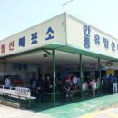 2013-06-24 태안반도 옹도 등대섬 106년만에 개방,간월암 여행..(구름) 이미지