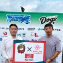 독스컴퍼니 이미지