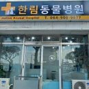 한림동물병원 이미지
