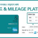 스카이플래티늄항공