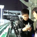 마르티스
