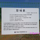 마산리고분군 이미지