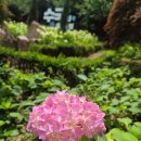 오정구 까치로20번길 13-7 | 부천 까치울역 특별한 복합 문화 공간 [스페이스작] ✨️ 맛있는 공간 ☕️🍕
