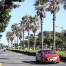 제주카센타 이미지