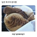 미친쭈꾸미 이미지