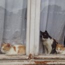 생명(조각) 이미지