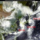 태풍 ‘루핏’ 간접영향 오늘 밤 동해안에 최고 200㎜ 폭우 이미지