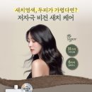 경일사 네이버블로그