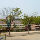 교동초교 Daum카페