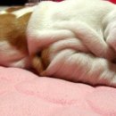 인터메리 이미지