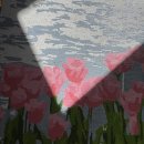 유화A | 연휴 일상_유화 그리기, 블랙 글레이즈드 라떼, 아이폰 17프로