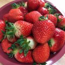 경철농장 이미지