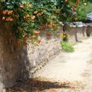 남평문씨본리세거지 주차장 이미지