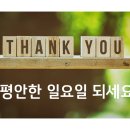 신국경약국 티스토리