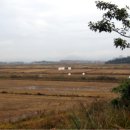 F1 진입도로 이미지