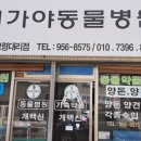 옥천스포렉스 이미지