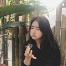 쿄플라워