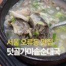 가마솥순대 | 서울 오류동 맛집 점심 텃골 가마솥 순대국 후기