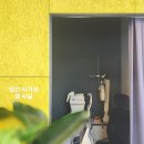 VU안경원 네이버블로그