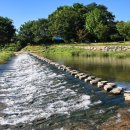 내린천솔밭힐링캠핑장 이미지