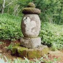 존자암지 이미지