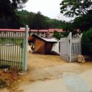 학교안 풍경 캠핑장 이미지