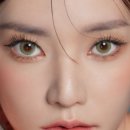 올리브비어 이미지