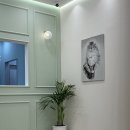 바하 고양이 병원 이미지