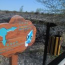 약천 산책로 이미지