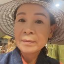 풀잎속의생명 이미지