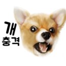 오남떡볶이 이미지