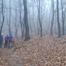 초암약수터 이미지