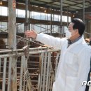 친환경한우농장 이미지