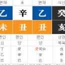 신(辛)의 속상(屬像) 이미지