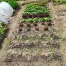 성열농장 이미지