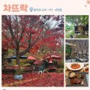 차뜨락 네이버블로그