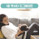 펫메이트(주) 이미지