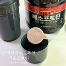 진명뉴트리션 | 단백질쉐이크추천, 근력 키우는 요즘 필수템 프로틴단백질 리뷰