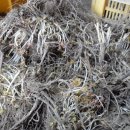 선녀농장 이미지