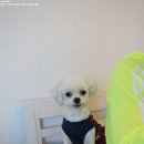 베라데로