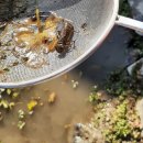 풍호농장 이미지