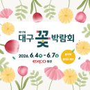 이마트24 대구유통단지점 | 2026 대구 꽃박람회 실내 볼만한 박람회 총정리(일정, 입장료, 사전예약, 주차)