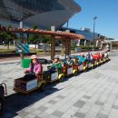 신호초등학교병설유치원 이미지